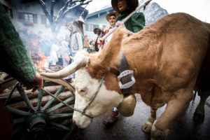 Germany, Bavaria, Mittenwald, carnival procession, Kraxenmandl, cart, cow in the foreground Germany, Bavaria, Mittenwald, carnival procession, Kraxenmandl, cart, cow in the foreground